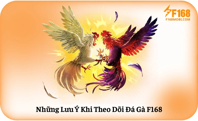 Nhung Luu Y Khi Theo Doi Da Ga F168 Những Lưu Ý Khi Theo Dõi Đá Gà F168