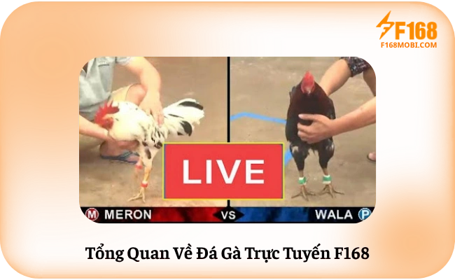 Tổng Quan Về Đá Gà Trực Tuyến F168